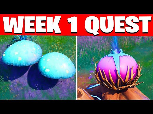 Week 1 Quests Fortnite - All Week 1 weekly Challenges guide