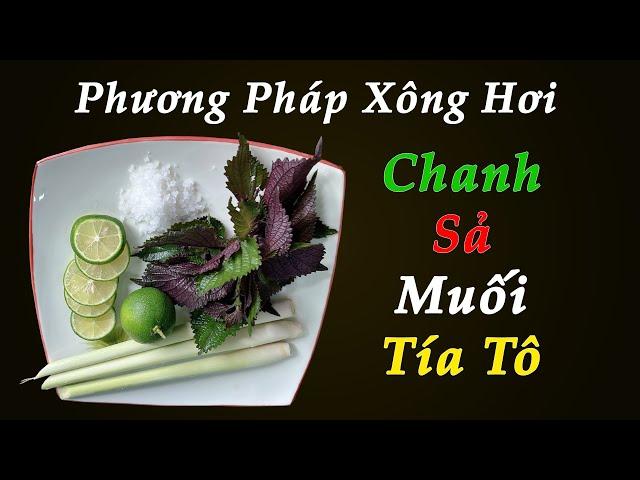 Phương Pháp Xông Hơi Trị Mụn Nám với Tía Tô - Chanh - Sả và Muối tại nhà - Làm đẹp hiệu quả tại nhà