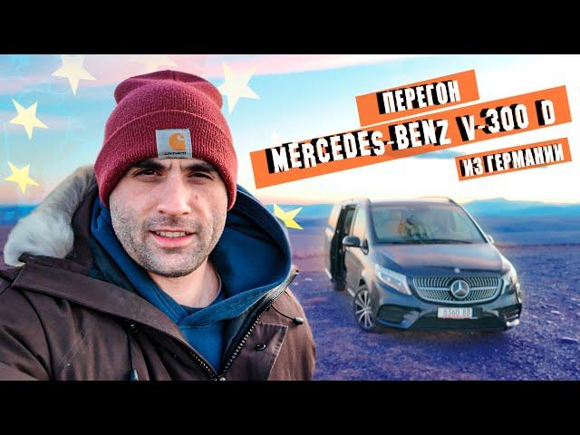 Перегон Mercedes V-Class 300d из Германии [декабрь 2024]