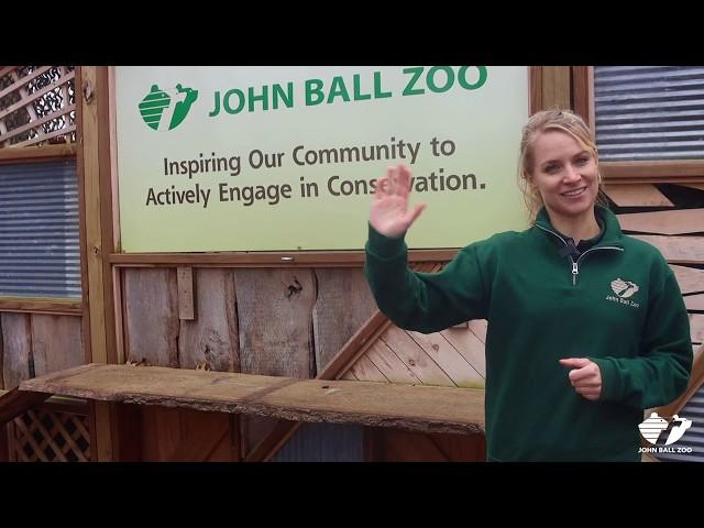 Zoo Insider - Exhibit Design