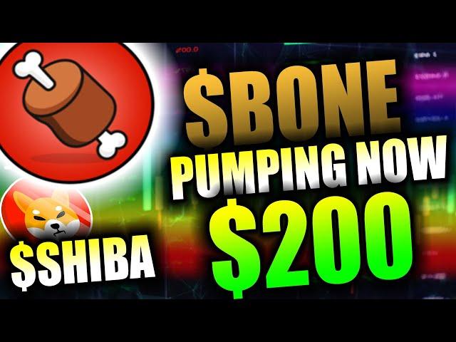 "URGENT" BONE SHIBASWAP MAKING MILLIONARES! BONE PRICE PREDICTION!