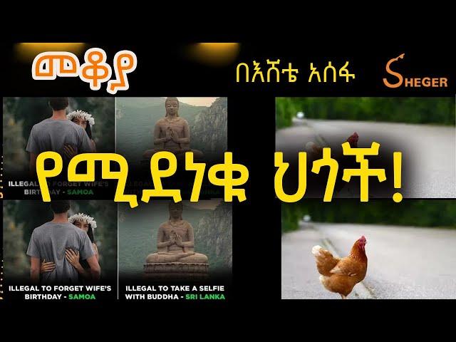 Mekoya - በዓለም ዙሪያ ያልተለመዱና ልዩ ህጎች እና ደንቦች! በእሸቴ አሰፋ #Mekoya #EsheteAssefa @ShegerFM1021Radio