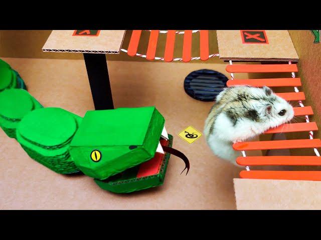 Snake Hamster Maze with Traps - obstacle course