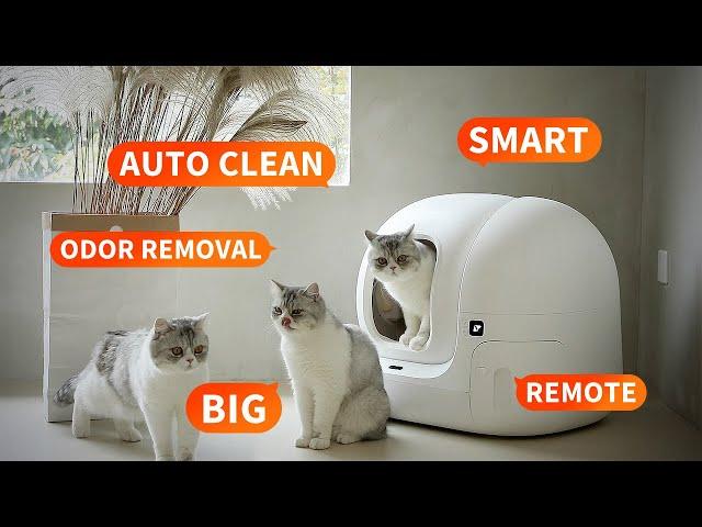 PETKIT PURA MAX｜The Self-cleaning Cat Litter Box Provides You A Hands-free Cleaning Experience