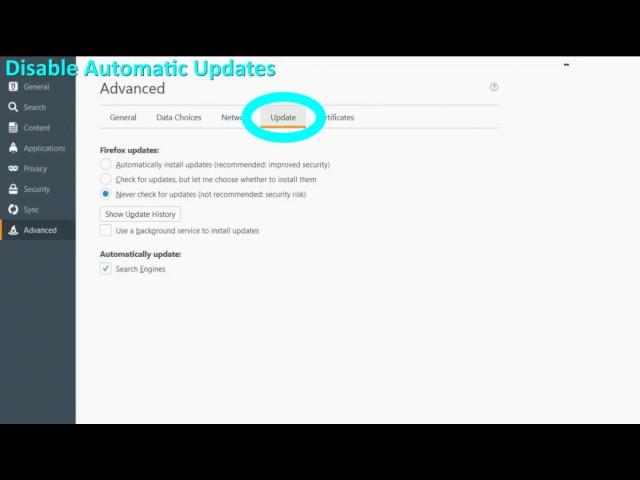 Mozilla Firefox - Disable Auto Update