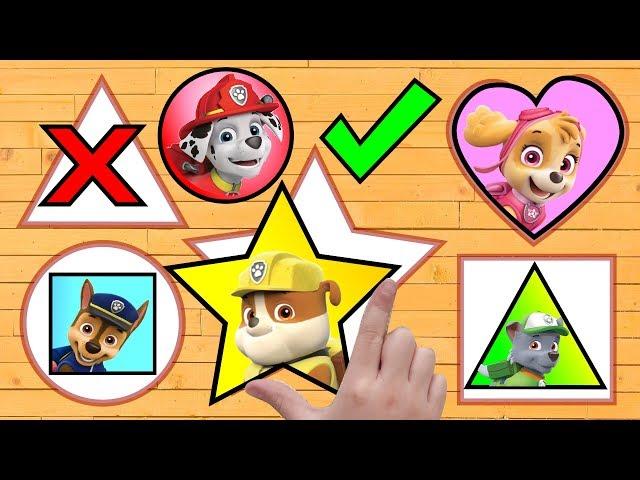 PAW Patrol! Learn Shapes | Right or Wrong Shapes Educational Puzzle Video