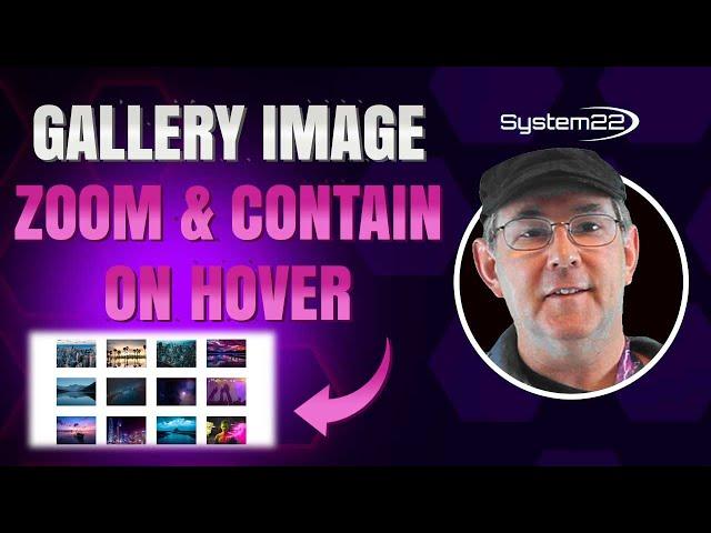 Divi Theme Gallery Image Zoom And Contain 