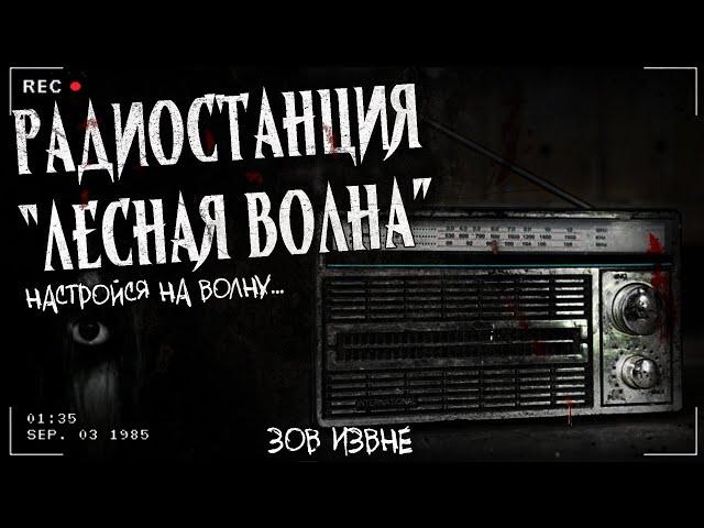 РАДИОСТАНЦИЯ "ЛЕСНАЯ ВОЛНА" | ЭКСКЛЮЗИВ | Страшная история