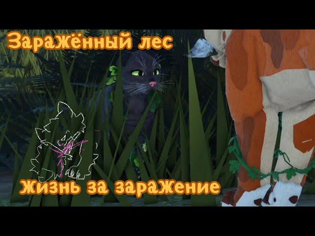 3 серия "Заражённый лес"! Коты воители роблокс! Warrior Cats Ultimate Edition Roblox