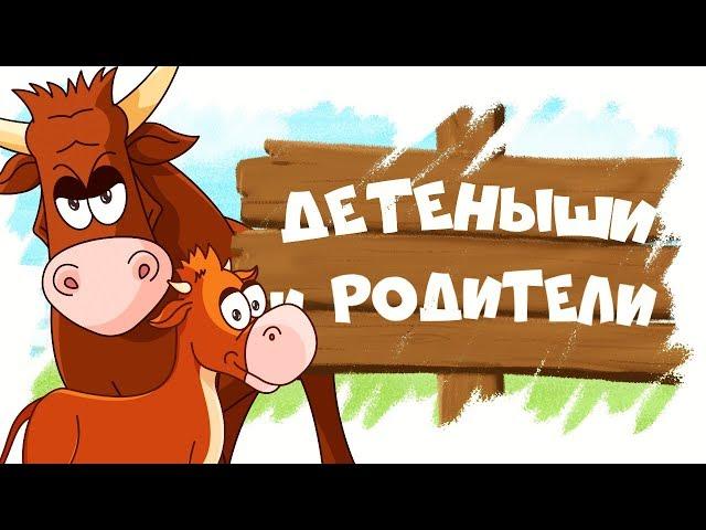 Домашние животные и их детеныши! Развивающие мультики для детей!