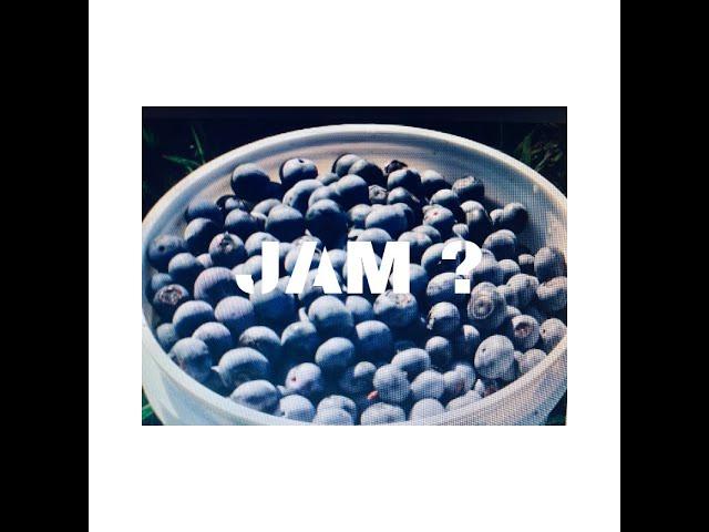 Fresh Tech Blueberry Jam!!!