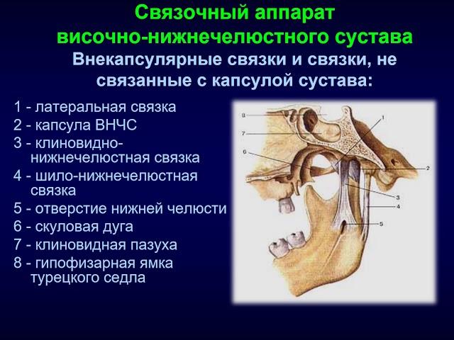 Функциональные заболевания ВНЧС у детей