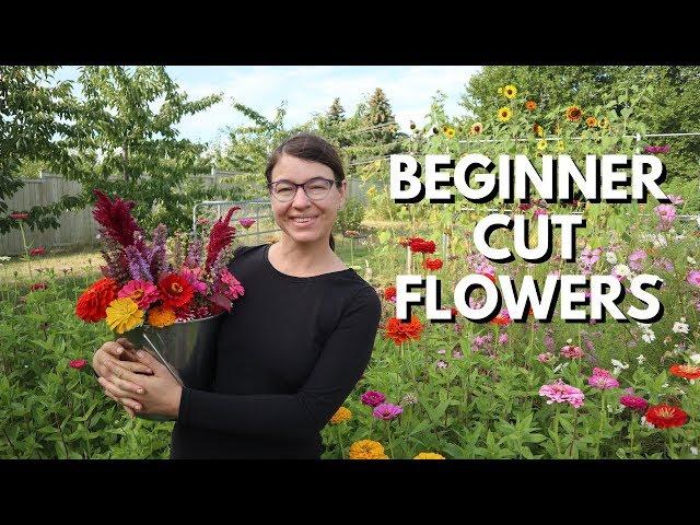 Cut Flower Garden for Beginners - From Seed to Bouquet