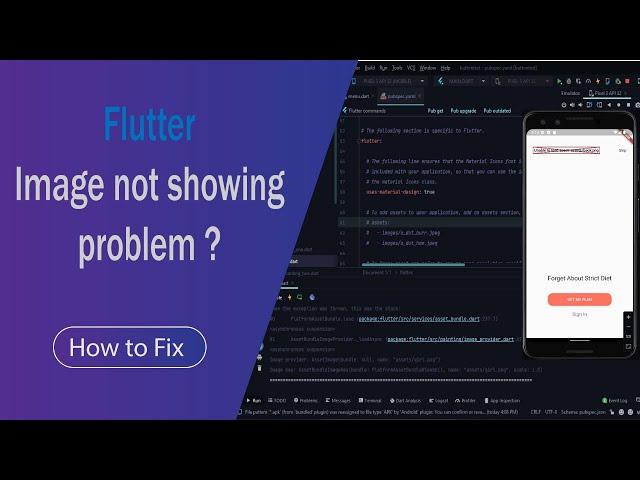 How to fix Flutter image not showing | Unable to load asset | Morethan Fix