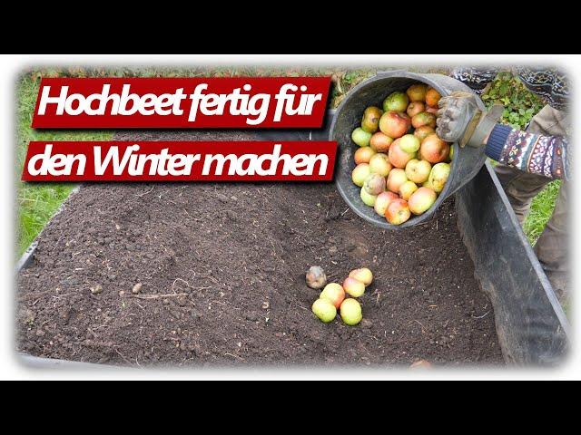 Knoblauch erfolgreich anbauen und Hochbeet winterfest machen Herbst 2024