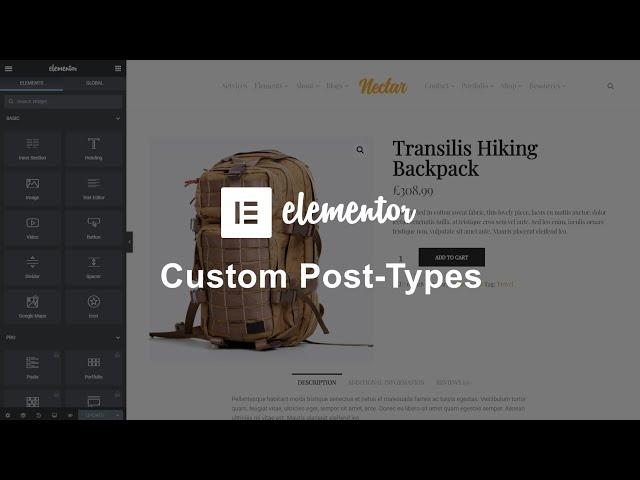 How To Use Elementor WordPress Plugin In Custom Post Types?