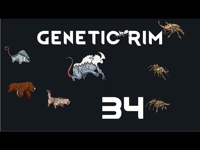 Let's Play Genetic Rim - 34 - Rimworld Royalty 1.1 Gameplay