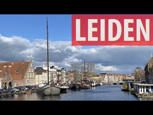 Leiden- Top 10 Things to See & Do