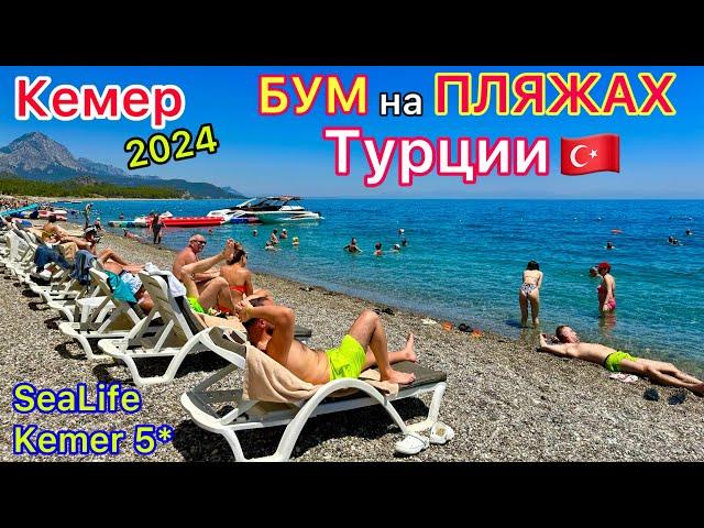 Турция 2024 ПЛЯЖ отеля SeaLife Kemer Resort Hotel 5*️ БОРЬБА за лежаки. МОРЕ в Кемере