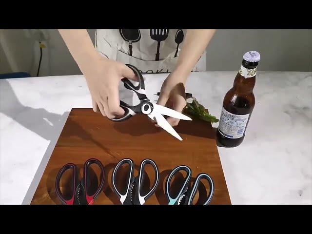 Multipurpose scissors || Stainless steel scissors & Fish Cutter Scissors Malayalam