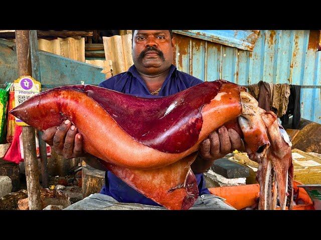 KASIMEDU  SPEED SELVAM | BIGG ORANGE SQUID  CUTTING VIDEO | IN KASIMEDU | FF CUTTING 