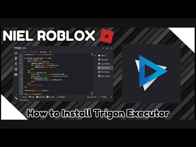 How To Install Trigon Executor | Tutorial