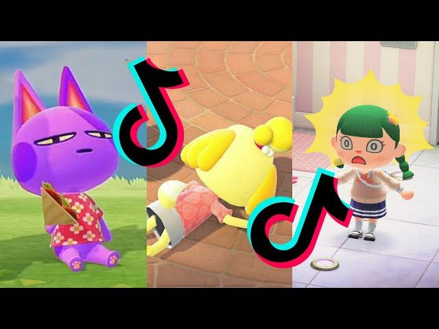 animal crossing tiktok memes that made isabelle trip