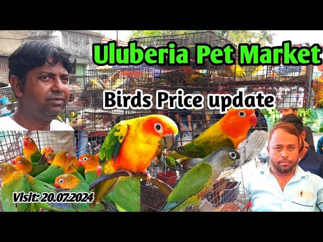 Present Exotic Birds price update at uluberia pet market on 20.07.24 #pets #bird #trending