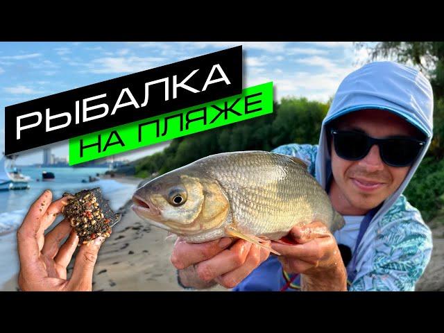 ФИДЕРНАЯ ЛОВЛЯ НА РЕКЕ / РЫБАЛКА НА ОКЕ / FROS FISHING