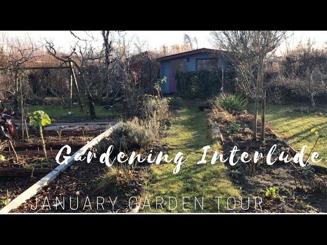 Gardening Interlude: January allotment garden tour #allotment #gardening