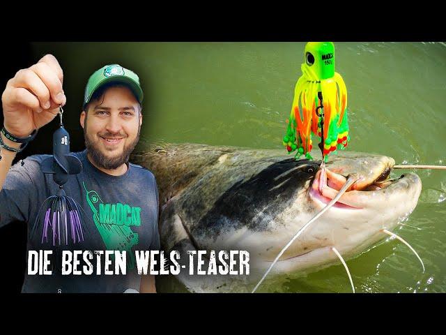 DAS SIND DIE BESTEN KLOPF-TEASER AUF WELS I A-Static Clonk Teaser I MADCAT