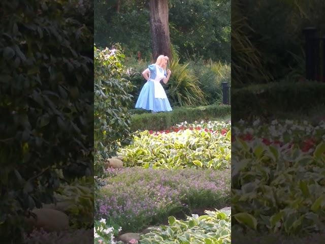 Alice in Wonderland at Epcot's UK Pavilion