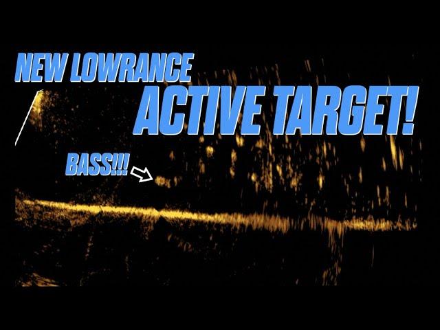 NEW ACTIVE TARGET FROM LOWRANCE!  First Time Using It!!!