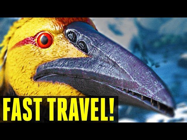 ONE WEIRD TRICK TO INSTANTLY TRAVEL AROUND THE MAP! ICHTHYORNIS -  EYNTK (Ark: Survival Evolved)