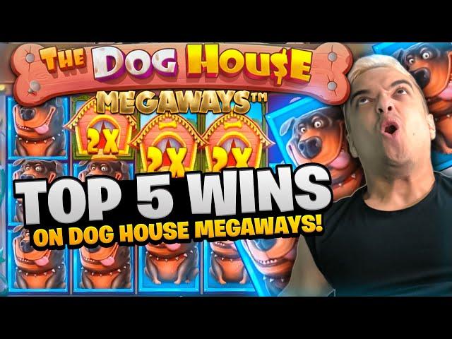 TOP 5 INSANE WINS THE DOG HOUSE MEGAWAYS