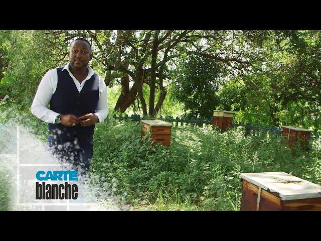 To Bee or Not to Bee | Carte Blanche | M-Net