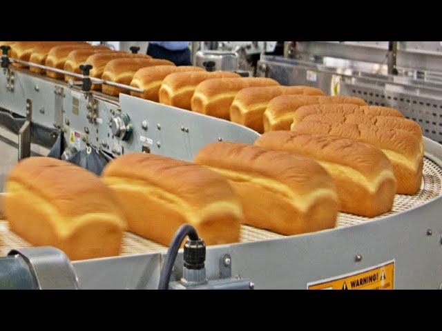 How Millions Of Bread are Made In A Huge Factory 