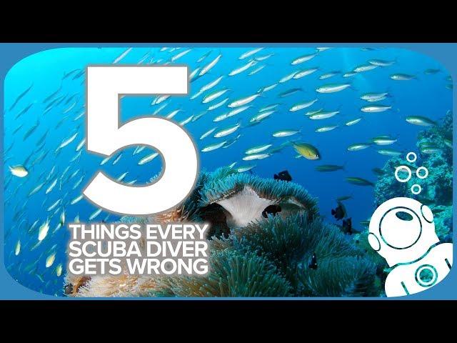 5 Things Every Scuba Diver Gets Wrong