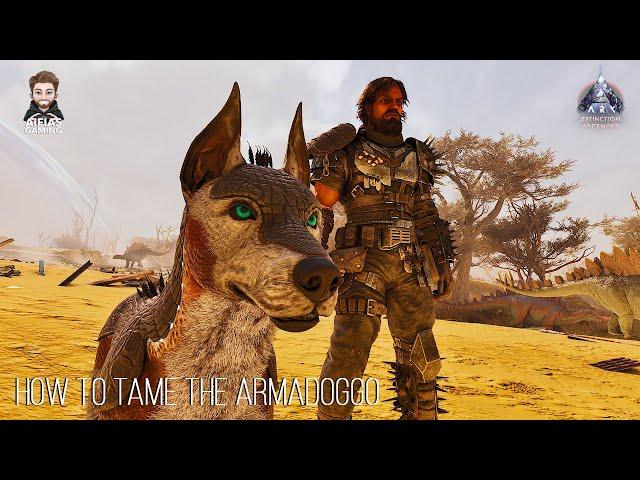 How to tame the Armadoggo - Ark Extinction Ascended