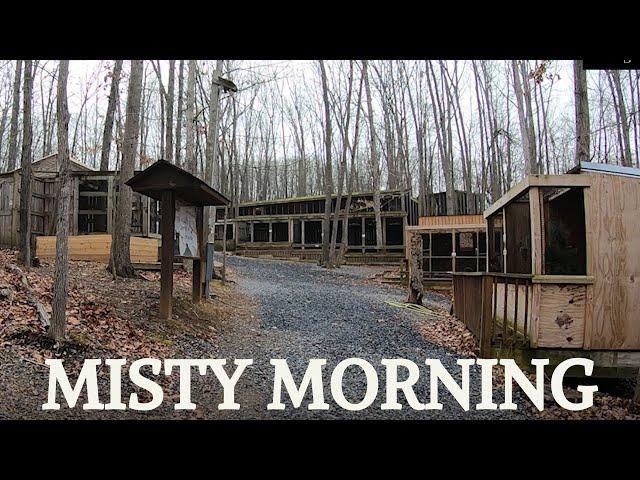 Misty Morning at the Wildlife Center of Virginia