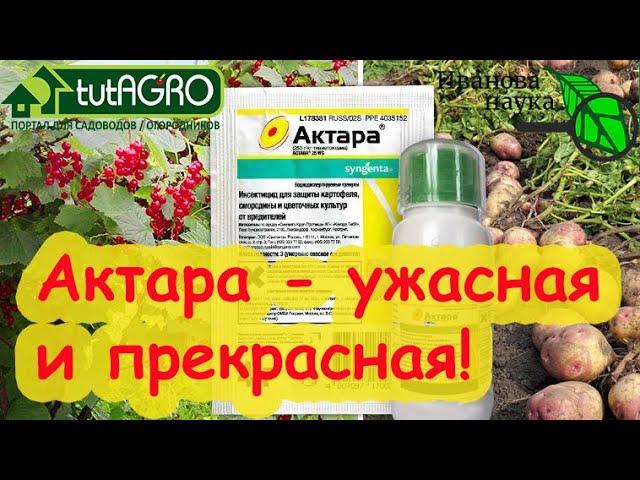 ВСЕ СЕКРЕТЫ ПРИМЕНЕНИЯ АКТАРЫ! Актара - прекрасная и ужасная! Как использовать Актару грамотно?