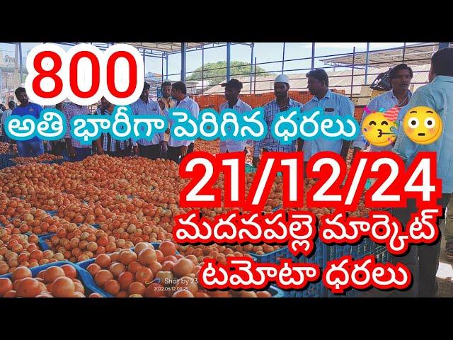 21-12-24 Madanapalle Tomato Market price Today || Today Tomato Market Rate in Madanapalle #today