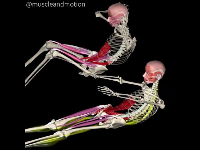 TRADITIONAL SIT-UP Vs MODIFIED BENT-KNEE SIT-UP