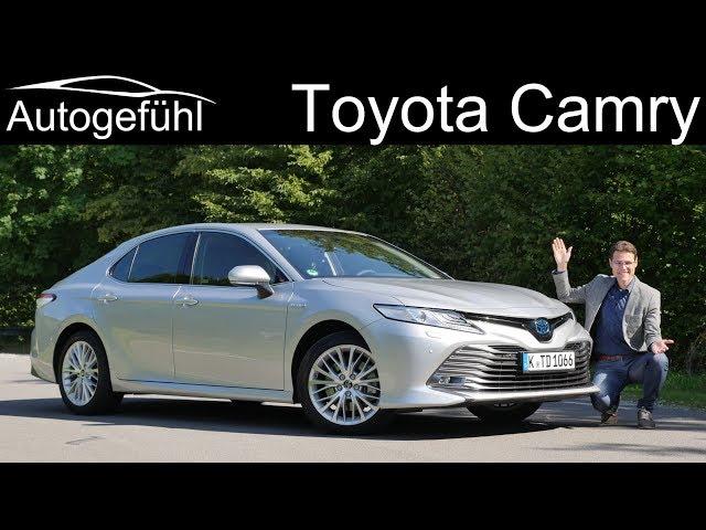 Toyota Camry Hybrid FULL REVIEW Camry XV70 - Autogefühl