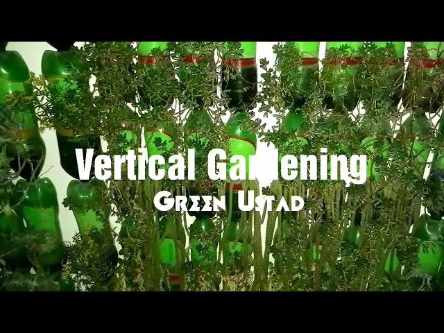 Vertical Gardening | Plastic Bottles | Hanging Wall | DiY | Green Ustad