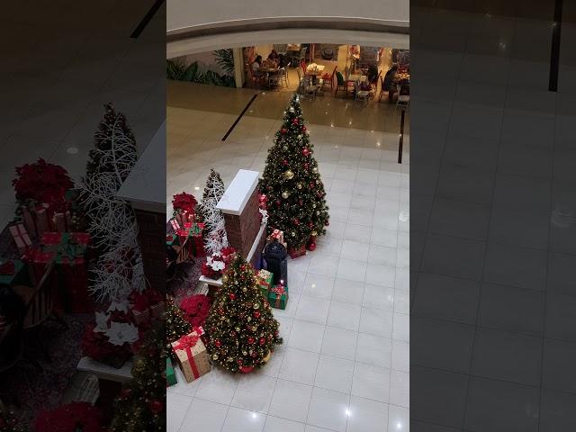 A Sony stand-alone speaker playing at mall atrium..