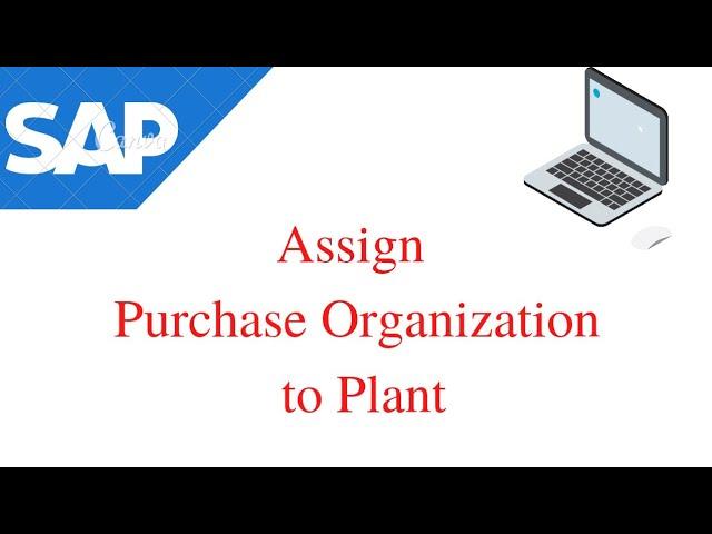 assign purchasing organization  to plant