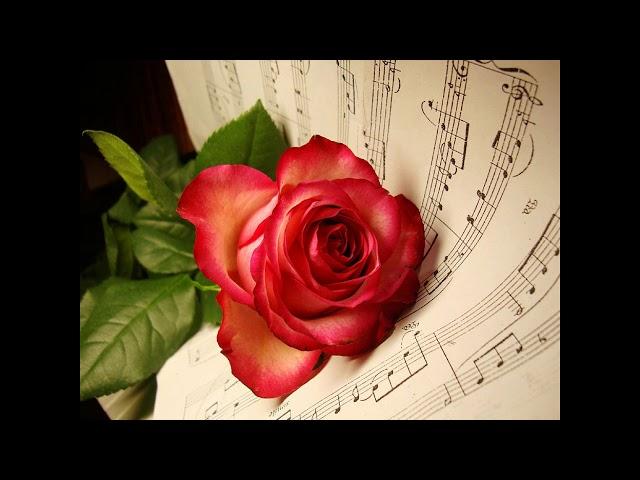 Canon in D Orchestra - Pachelbel repeat 1 hour music