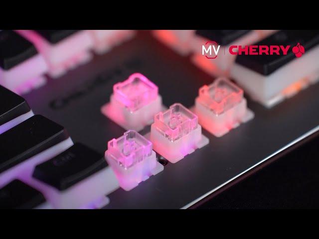 [MEMBRANE KILLER] CHERRY MV Linear: Mechanical switch to outshine the masses!