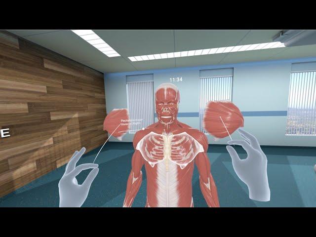 Human Anatomy VR